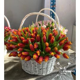 Tulips in a basket  (90psc) 