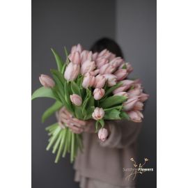 Tenderness from a tulip (50 pcs)