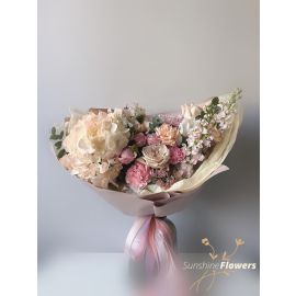 Tender Hydrangea