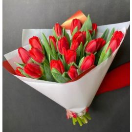 Tulips red (21 psc)