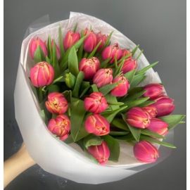 Tulips pink (25 psc)