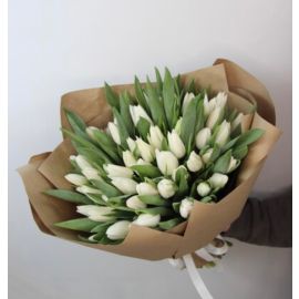 Tulip White (51 pc)