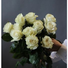 Roses white  large (11pc)