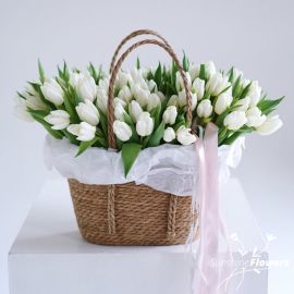 Tulips White in a basket (51 psc)